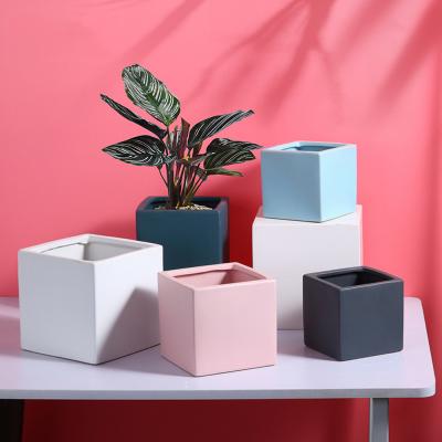 China Small Plants Pot Simply Indoor Succulent Concise Color Macaron Ceramic Square Flower Pot for sale