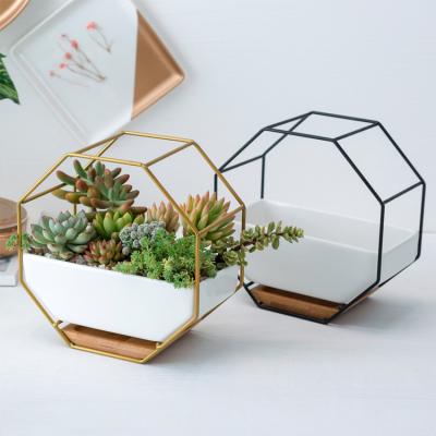 China Europe Minimalist Style Hanging Flower Pot Ceramic Place Flat Elegant Flower Pot For Indoor for sale