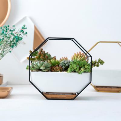 China Low MOQ Octagon Iron Frame Desktop Ceramic Flower Pot Europe Factory Succulent Pot for sale