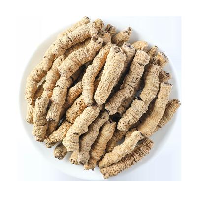 China Whole or Broken or Powder Chinese Herbal Root Slice Morindae Officinalis Organic Plant Chinese Radix Morindae Officinalis for sale