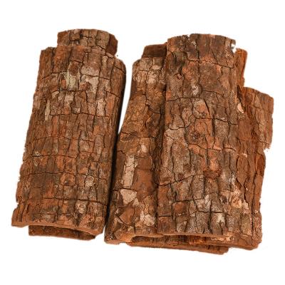 China Whole or Broken or Powder Wholesale Supply Quality Pau De Cabinda Tree Kabinda Bark for sale