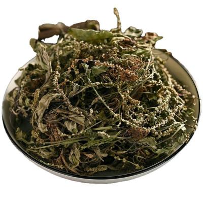 China Whole or Broken or Powder Raw Herbal Tea Chinese Herbs And Spices Plantain Herb for Making Tea And Stir Frying Vegetables for sale