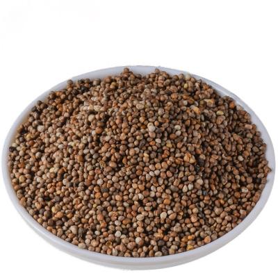 China Whole or Broken or Powder 2023 Natural Health Supplement Crop Perilla Frutescens Organic Perilla Seeds for sale