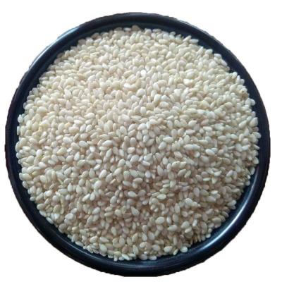 China Whole or Broken or Powder Organic Agricultural Products White Pure Sesame Seeds for sale