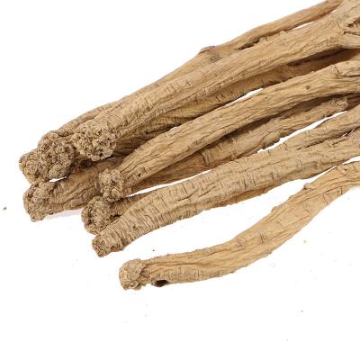 China Whole or Broken or Powder Raw Chinese Herbs Dang Shen Root Codonopsis pilosula for sale