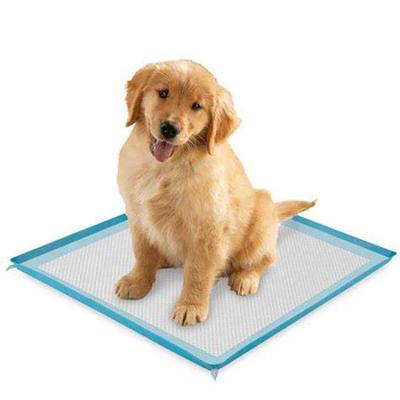 China Durable Extra Large Pet Training And Puppy Pads Pee Pads for sale