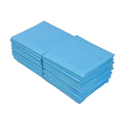 China Viable Dry Surface Disposable Pet Training Pads 60*60 for sale