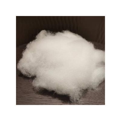 China Anti-deformation hollow conjugated synthetic fiber / polyester filled regenerated cotton fiber filled cotton for sale