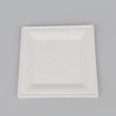 China Disposable Paper Pulp Bagasse Rectangle Dish Sugarcane Pulp Square Disposable Disposable Dishes for sale