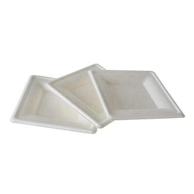 China Disposable Eco Friendly Compostable Sugar Cane Plates Food Grade Paper Pulp Biodegradable Disposable Plates for sale