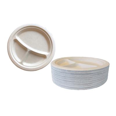 China Disposable Disposable Plate And Bagasse Glass Ellipse Oval Machinery Makers Plate for sale