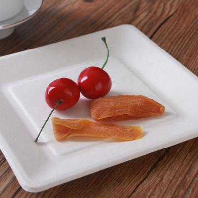 China Sugarcane Paper Pulp Disposable Materials Biodegradable Compostable Dishes Place Plates Tableware Place Plates for sale