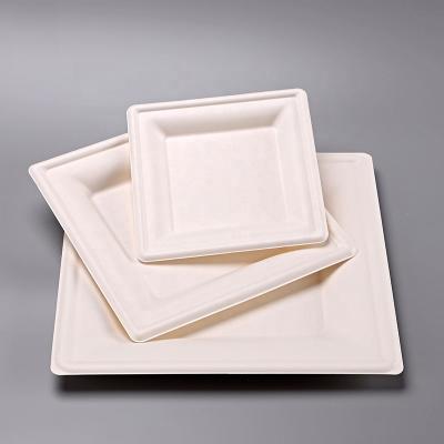 China Eco - Friendly Eco - Friendly Biodegradable Food Container Making Machine Make Bagasse 8 Inch Square Plates for sale