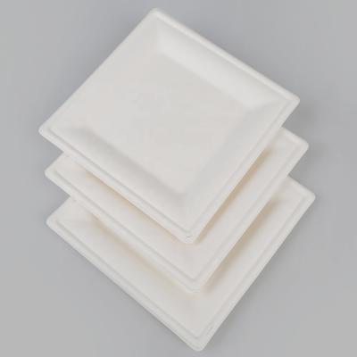 China Disposable Packaging Dish Dining 100% Biodegradable Disposable Suger Cane Pulp , Dishes Sugar Cane Pulp Bagasse Square Suger Cane Pulp 1 Box for sale