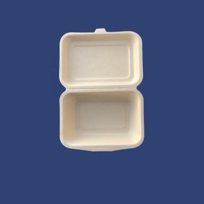 China 2019 hot sale disposable bento box with disposable lid packing box wholesale disposable pizza box for sale