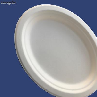 China Eco Bagasse Disposable Luxury Compostable Cake Dish Biodegradable 10 Sugar Canes Oval Dish for Food for sale