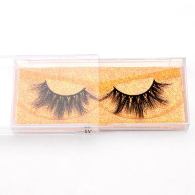 China Cilios 6D81 Fur Free Sample Private Label Eyelash Vendor, 5d Faux Mink Fur Lashes, 6D Mink Eyelashes With Packing Box à venda