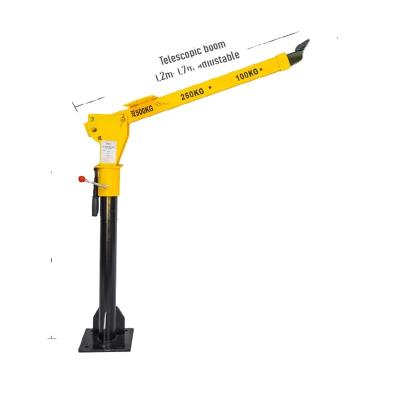 China Other Light Household Small Crane Machine Items Heavy Weight 1 Ton Telescopic Adjustable Wire Electric Crane for sale