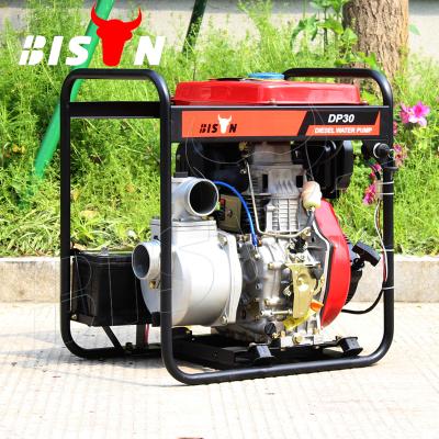 China Other BISON Diesel Engine Water Pump Portable Diesel Pumps for sale