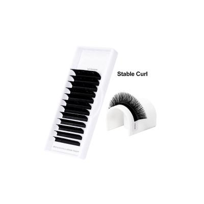 China Natural Soft Matte Eyelash Extensions Quick Fanning Matte Eyelash Extensions for sale