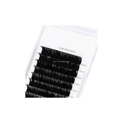 China Natural Soft Natural Eyelash Extensions With Logo Eyelash Extensions Custom Eyelash Extension Premium for sale