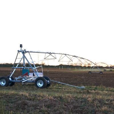 China Modern Agricultural Center Pivot or Linear Irrigation  Machine in farm irrigation Systems Te koop