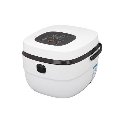 China Hotel Cheap Portable Large Size 5L Non-stick Indoor Pot Rice Cooker for sale