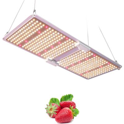 China Seed starting full spectrum lm301b IP65 grow lights spider sf2000 LED grow light for plants for sale