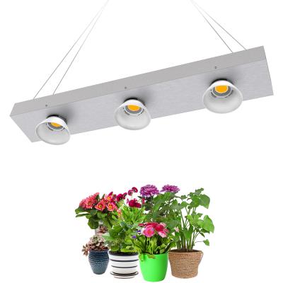 China Hydroponic plant grow newest 300w diy cob 3500k crees 3590 full spectrum led grow light for sale