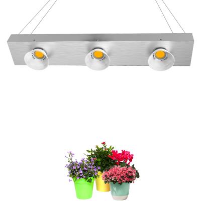 China Hydroponic plant grow diy greenhouse cob crees CXB 3590 3000k 200w cob led led grow light kit for sale