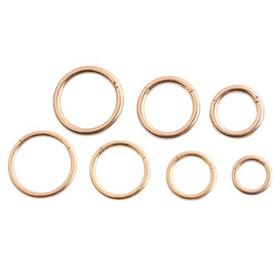 China Ring Hinged Segment Hoop Ring Punk Body Nose Stainless Steel Piercing Jewelry for sale