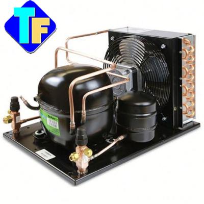 China LBP/MBP R290 220-240V/50Hz Condensing Unit For Cool Storage for sale