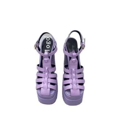 China Brand Printed Luxury Designers With LOGO Sandals Fashion Women Chunky Versece High Heels Platform Sandals for sale