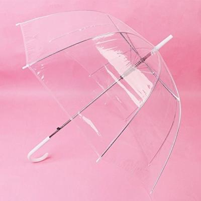 China All In 1 Parasol Wedding Transparent Umbrella Cheap Clear Dome Umbrella High Quality for sale