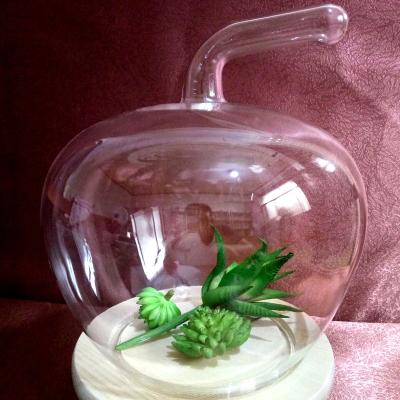 China Glass vase from Europe for sale