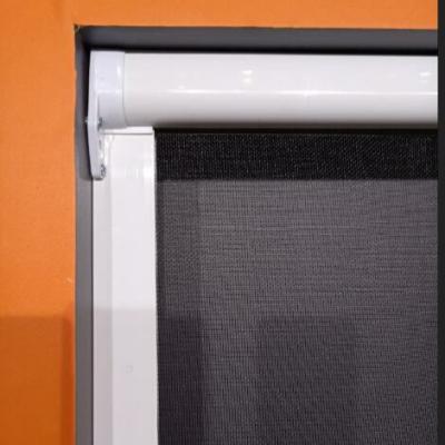 China Various Windows Door And Window Thru Retractable Fiberglass PVC Insect Screen for sale