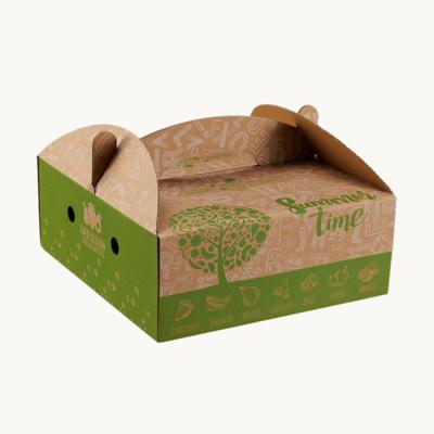 China Recycled Materials Customized Boxes Foldable Corrugated Apple Fruit Packaging Boxes Wax Waterproof Cardboard For Vegetable Banana Fruit Packaging for sale