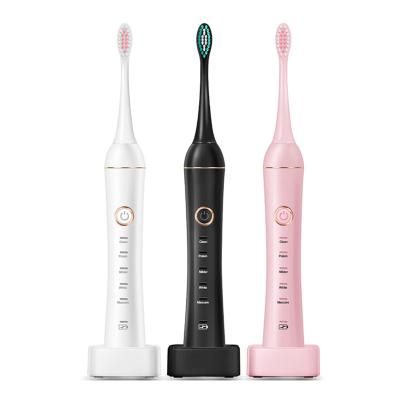 China Factory Supply High Quality Custom Made Sonic Automatic Usb Luxury Electric Toothbrush of Teeth Cleaning RAAYA for sale