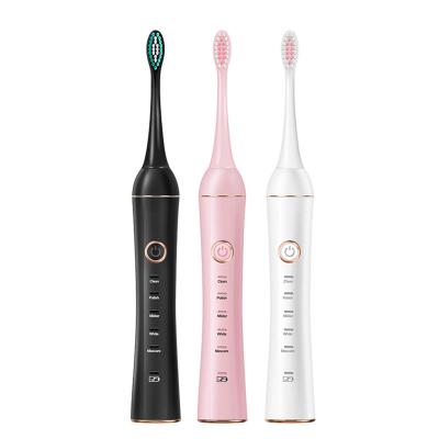 China Clean Oral Electric Tooth Cleaning RAAYA Electric Toothbrush or Sonic Toothbrush Slim Adult Sonic Electric Toothbrush for sale