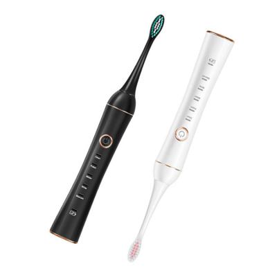 China Cheap Price Battery Operated Eclectic Toothbrush Luxury Electric Toothbrush With Charger for sale