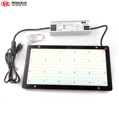 China Seed Starting CE Certification 630Nm Red Board Led Grow Light Factory China for sale