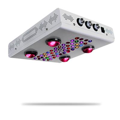 China Fruit Vegetable Greenhouse Flower Growing Lights 600W Full Spectrum Led Grow Light COB for sale