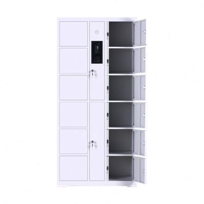 China Modern Smart Electronic Gym Locker System Electronic Lockers 12 Doors for sale