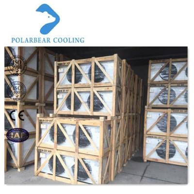 China Container High Standard Potato Cold Storage Supermarket Refrigeration Equipment for sale