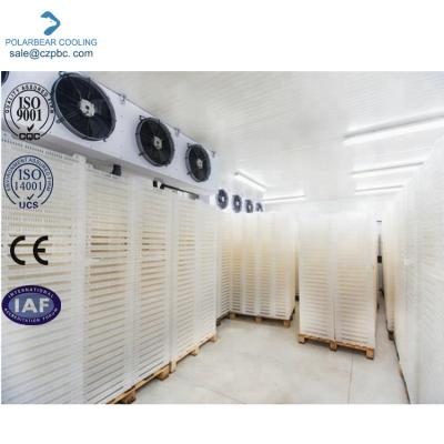 China Hotels Hotel Commercial Banana Rooms Cold Storage Freezer Ripening Room for sale