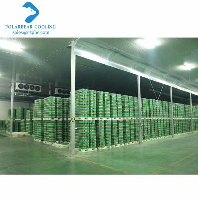 China Modern Customized Mushroom Vegetable Cultivation Storage Refrigerator Cold Room for sale