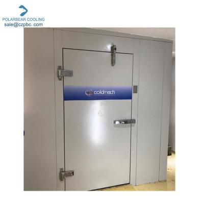 China Heat Insulation Cold Room Hinged Door For Walk In Freezer for sale