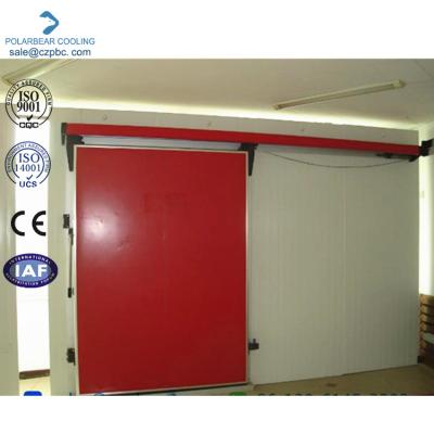 China Modern PU Panel Cold Room Sliding Door With Accessories For Shop for sale