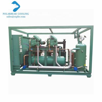 China Electric Compressor Unit Refrigeration Screw Room Freezer Room Cold Storage Refrigerant Air Compressor for sale