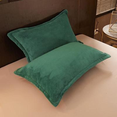 China Winter Anti-Static Coral Pillowcase Suede Warm with Large Single Thick Pillow Core Cover Plush for sale